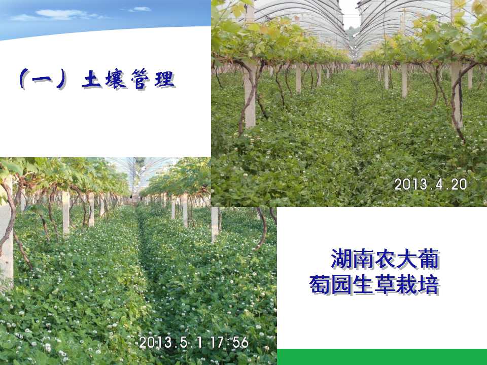 幻灯片23