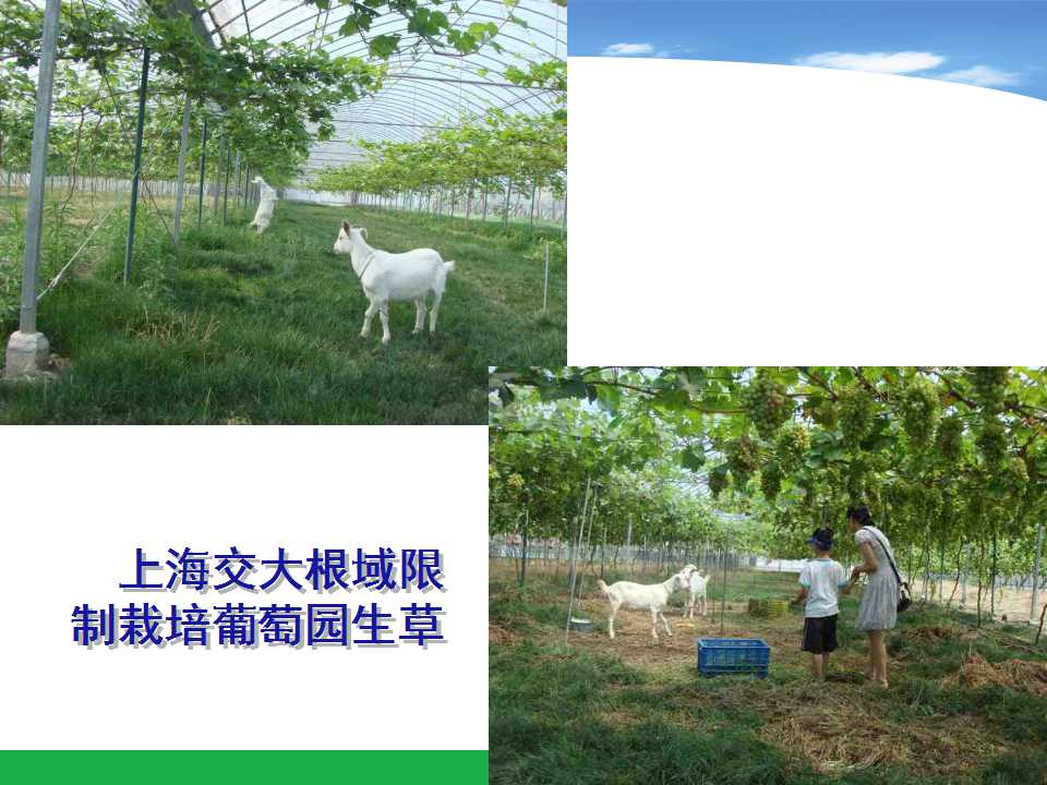 幻灯片24