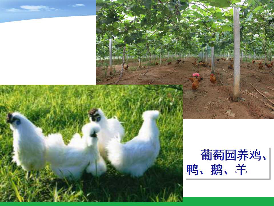 幻灯片26
