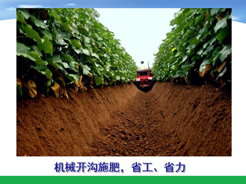 幻灯片32