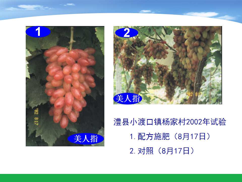 幻灯片37
