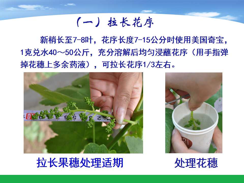 幻灯片42