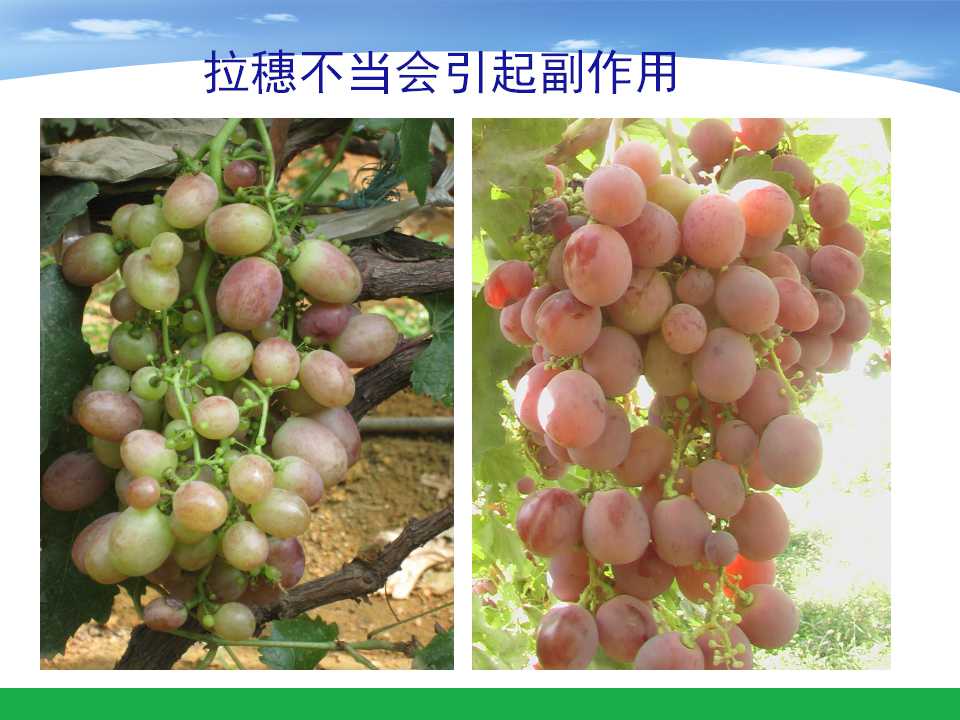 幻灯片43