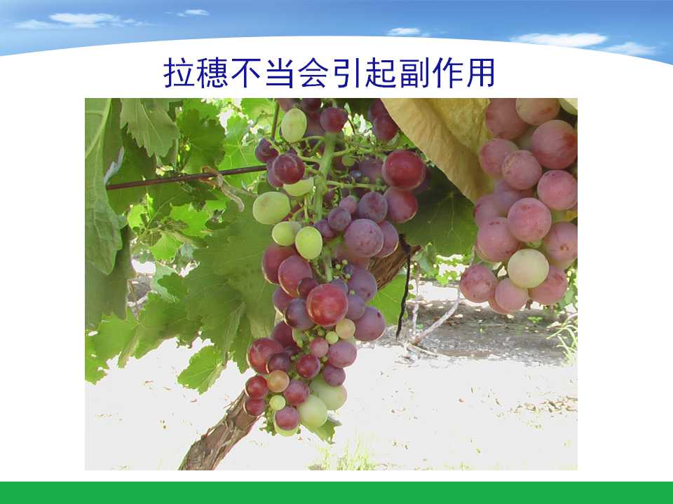 幻灯片44