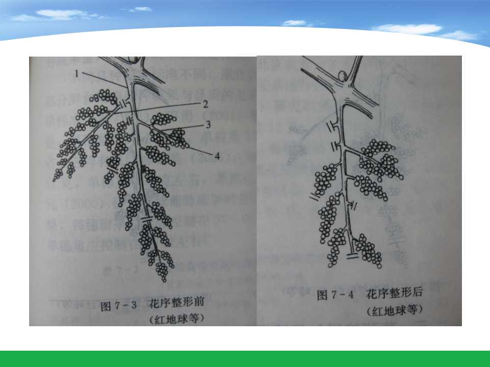 幻灯片49