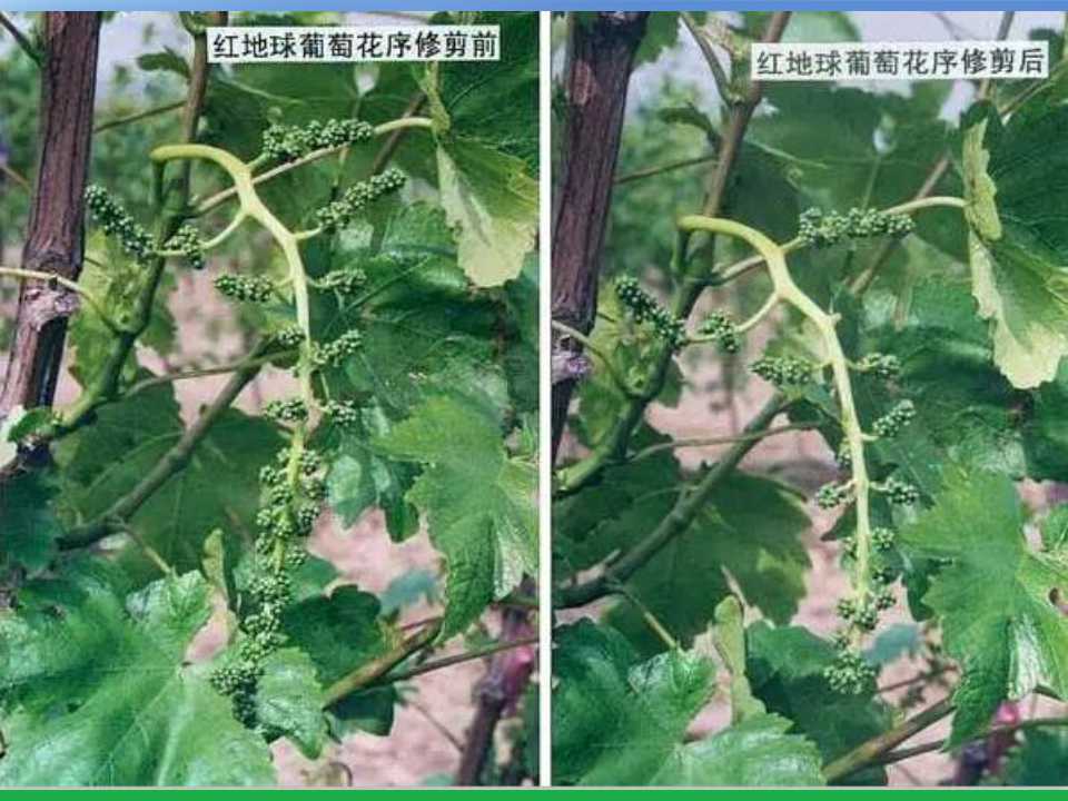 幻灯片51