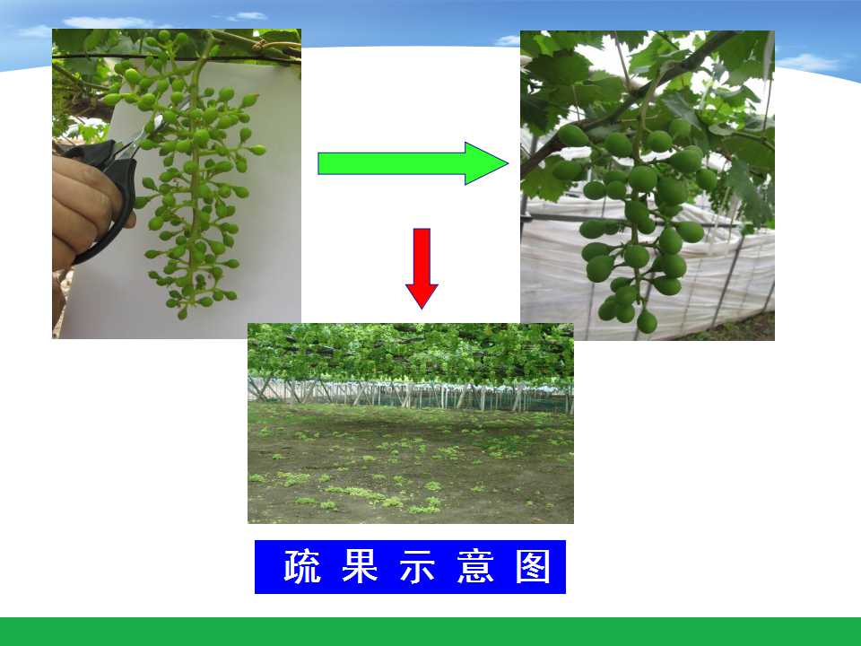 幻灯片54