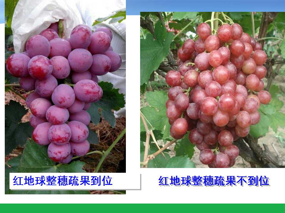 幻灯片56