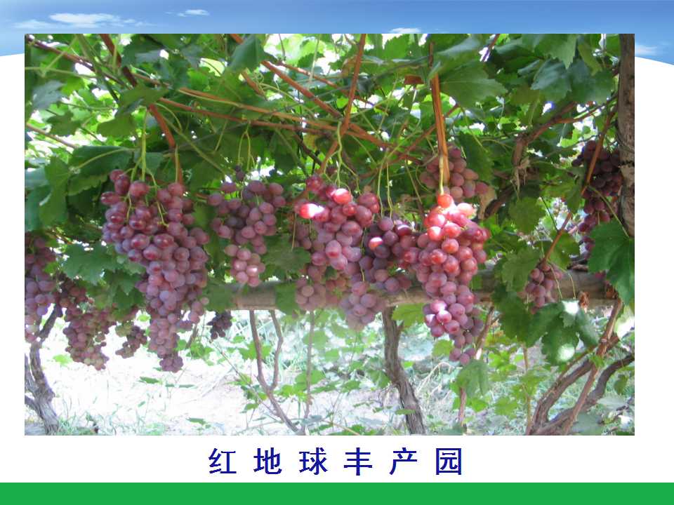 幻灯片57