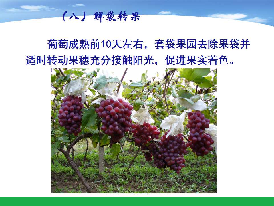 幻灯片62