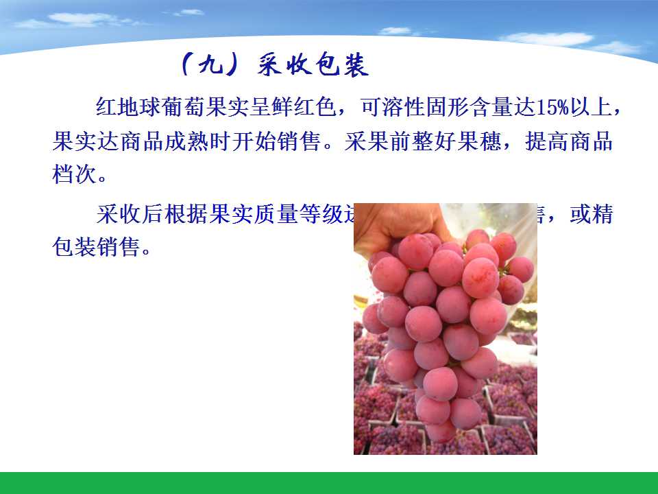幻灯片63