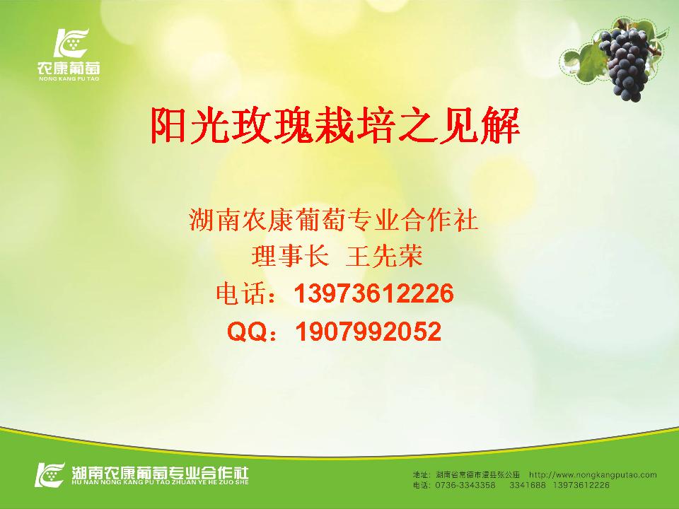 幻灯片1