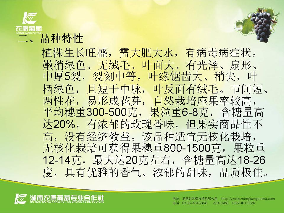 幻灯片6