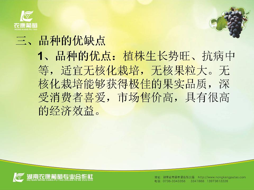幻灯片7