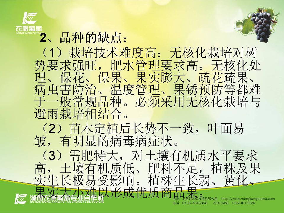 幻灯片9