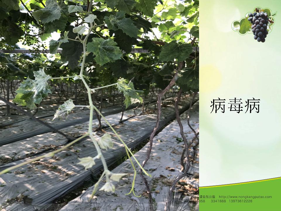 幻灯片10