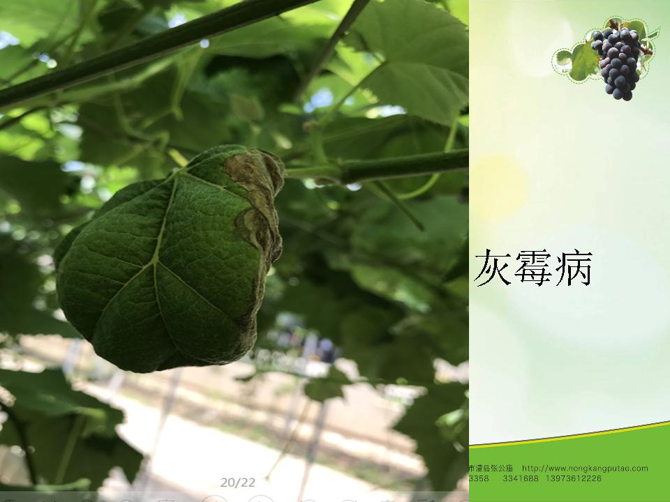 幻灯片12