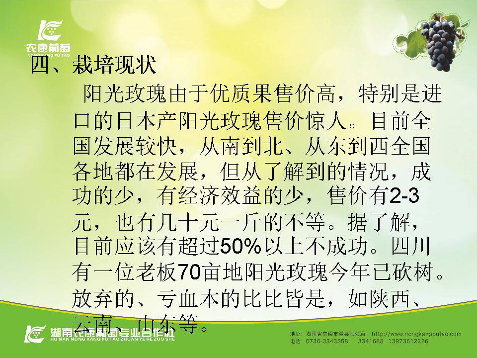 幻灯片14