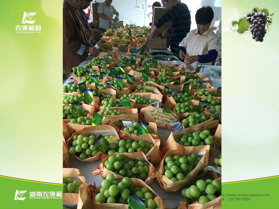 幻灯片15