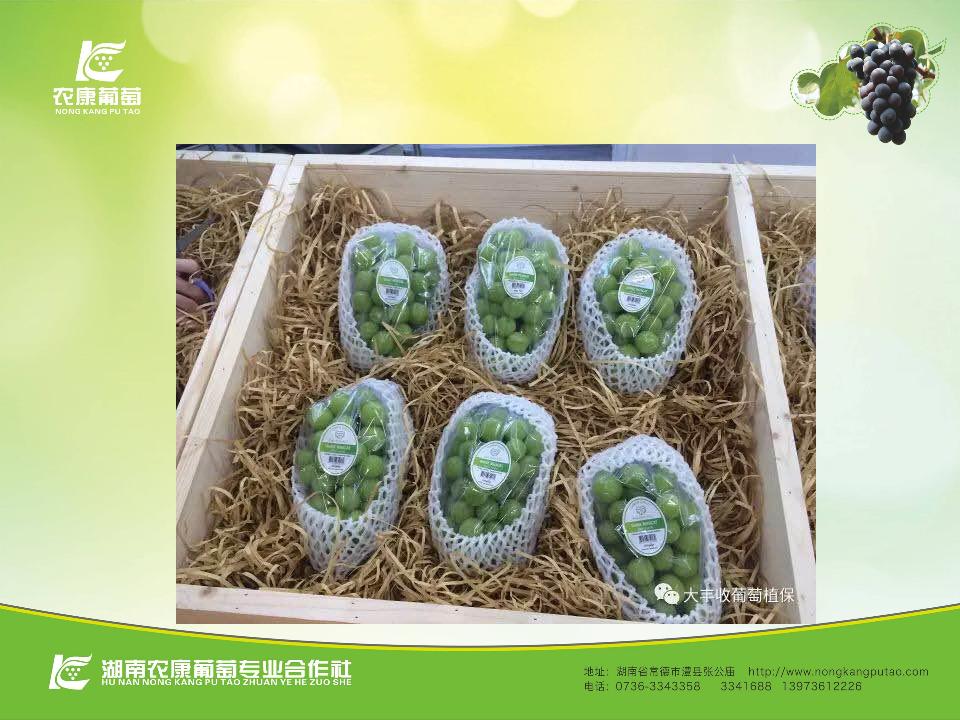 幻灯片17