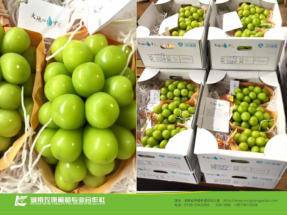 幻灯片21