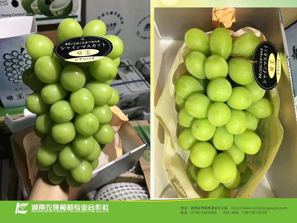 幻灯片22
