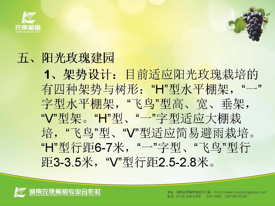 幻灯片24