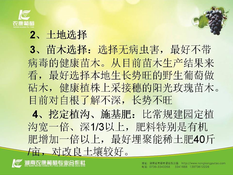 幻灯片25