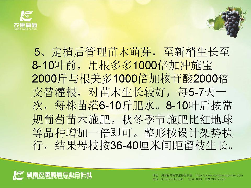 幻灯片27