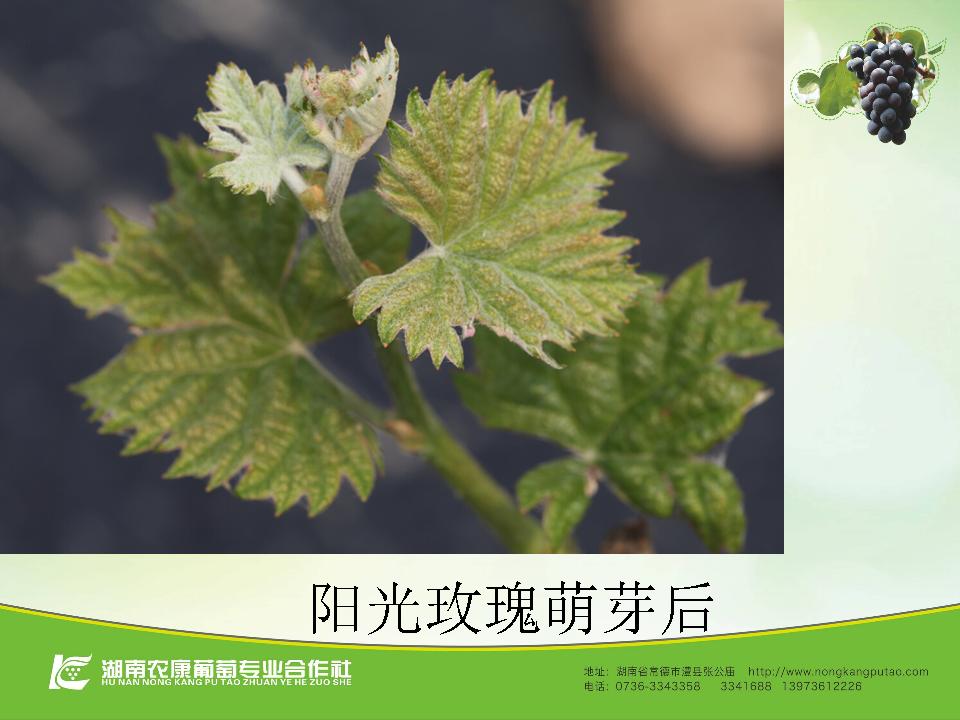 幻灯片28