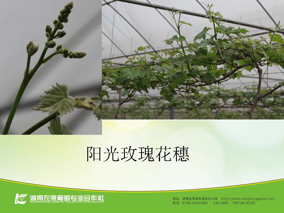 幻灯片29