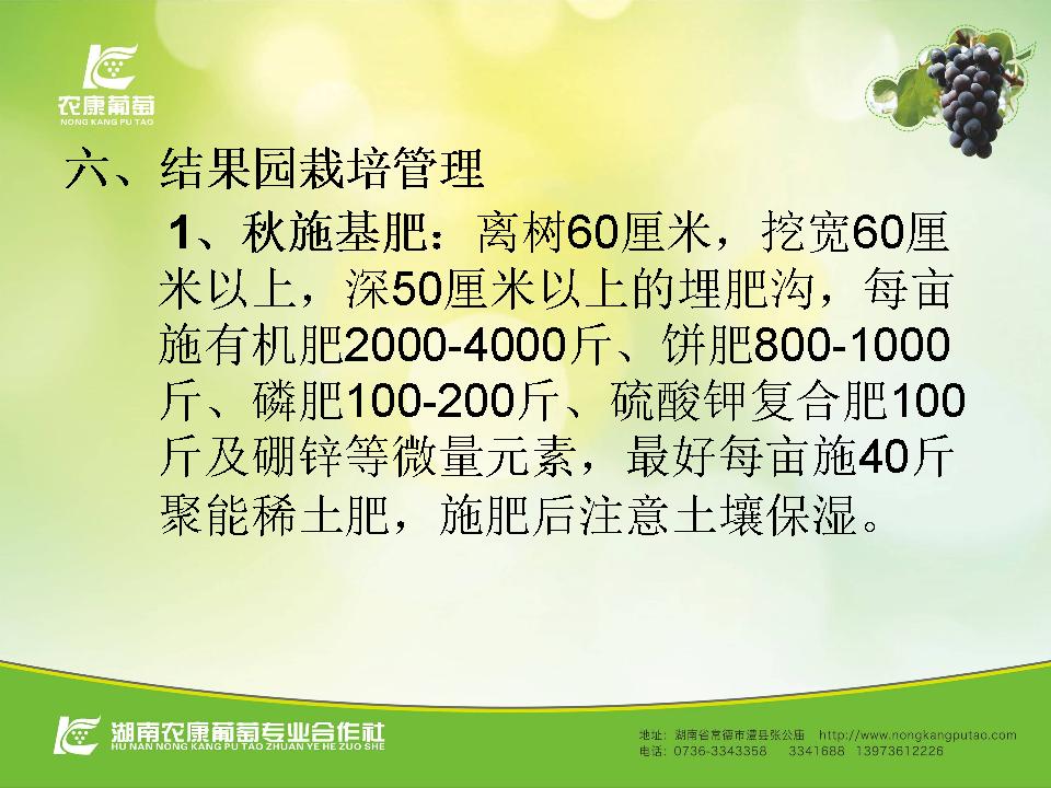 幻灯片30