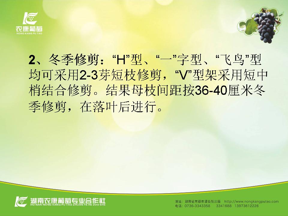 幻灯片36