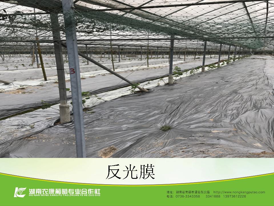 幻灯片40