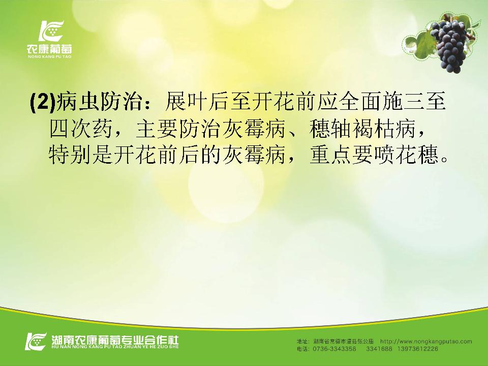 幻灯片42