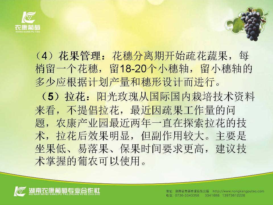 幻灯片44
