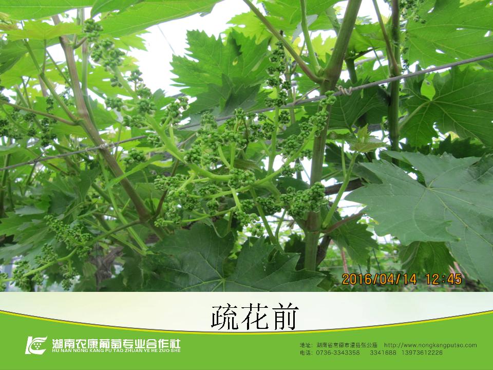 幻灯片45