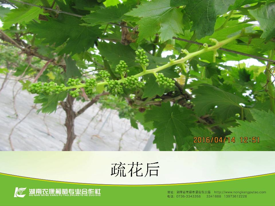 幻灯片46