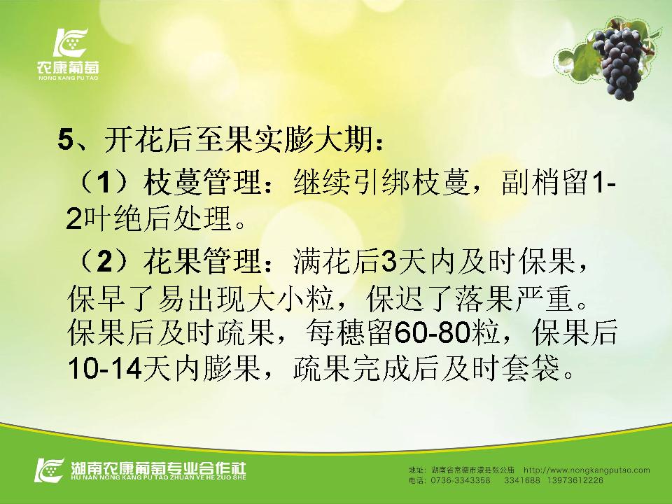 幻灯片49