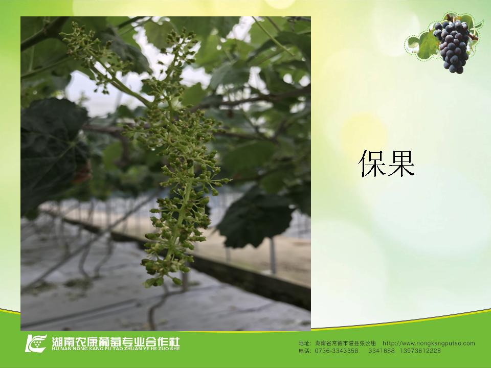 幻灯片50