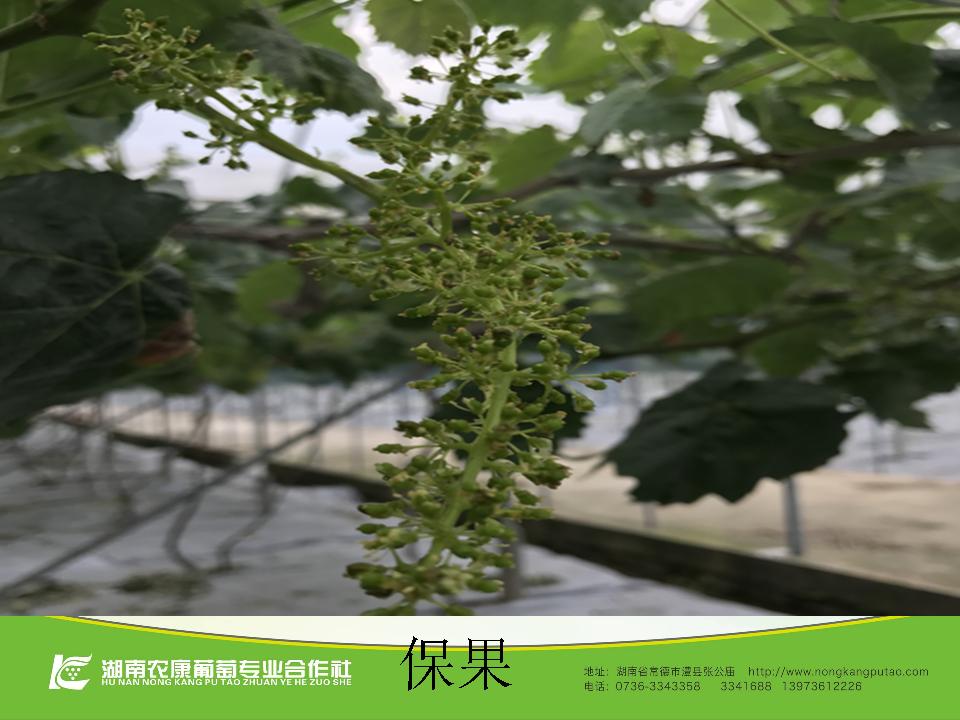 幻灯片51