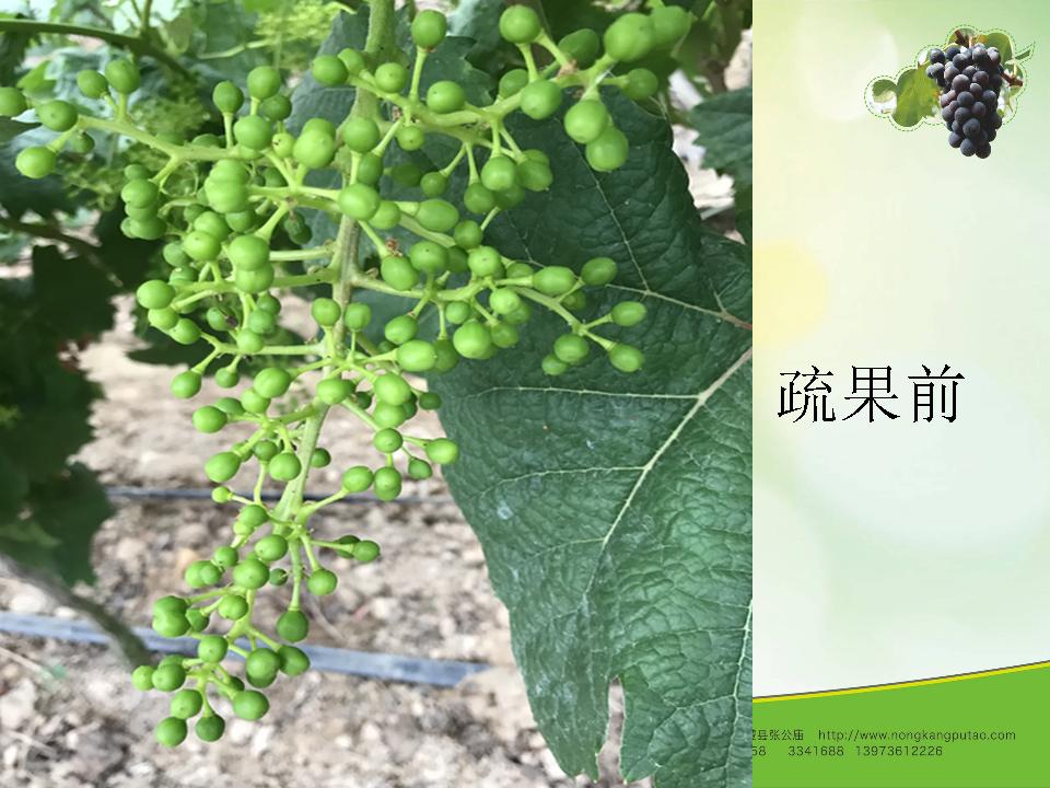 幻灯片52