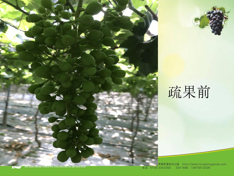 幻灯片53