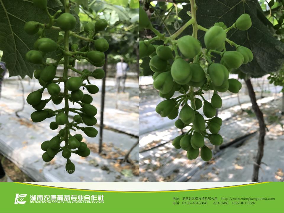 幻灯片55