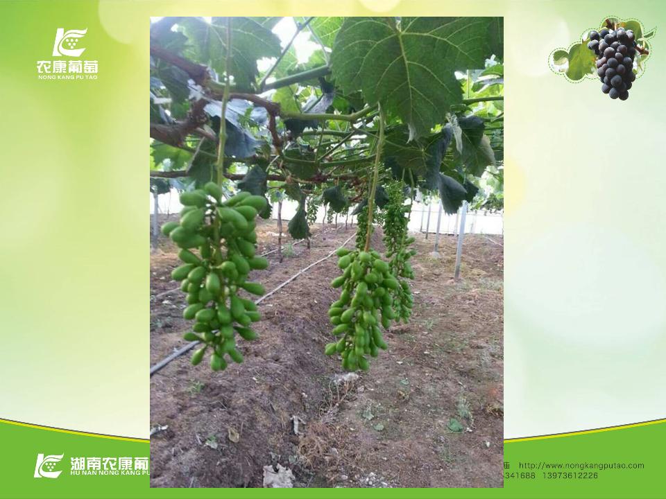 幻灯片57