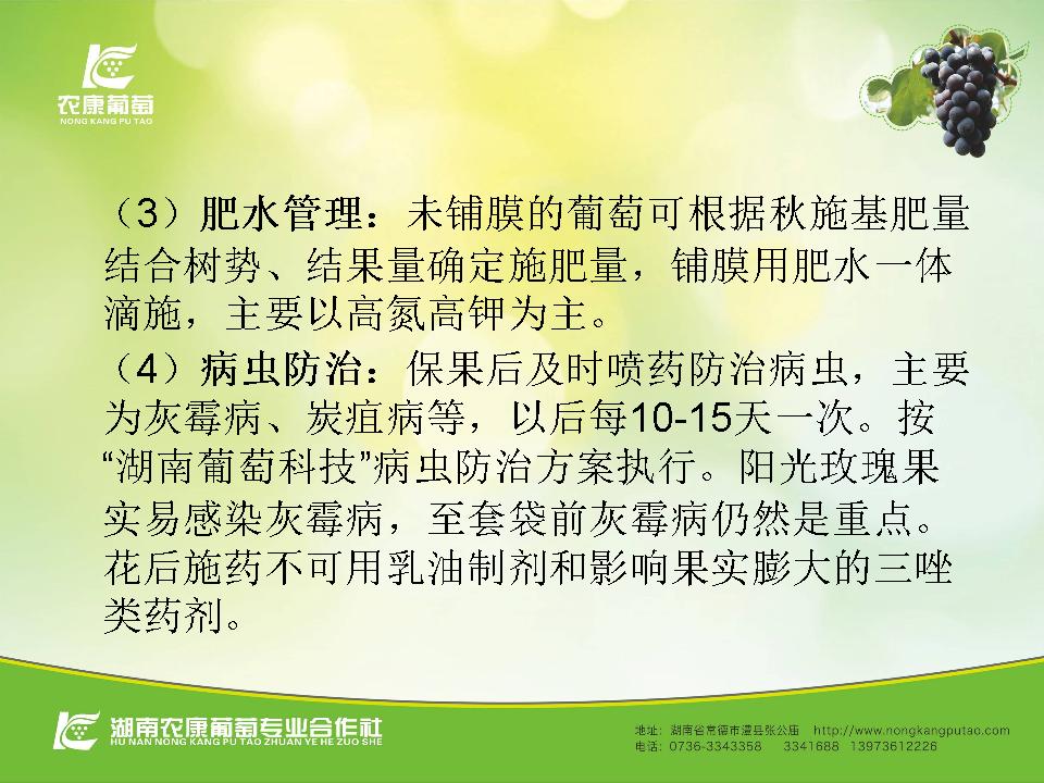 幻灯片58