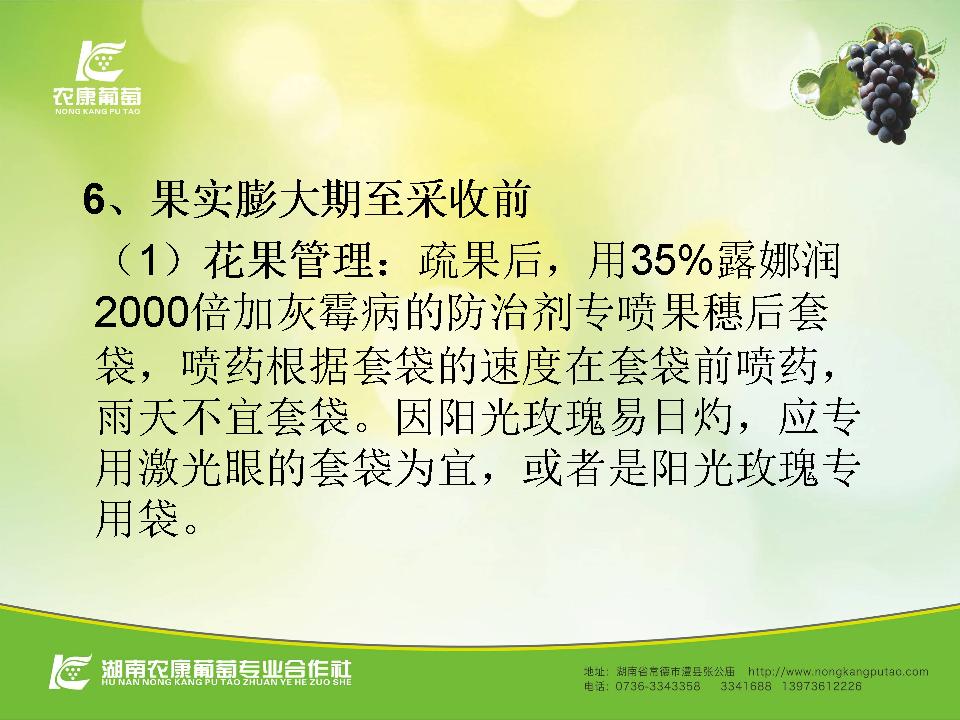 幻灯片59
