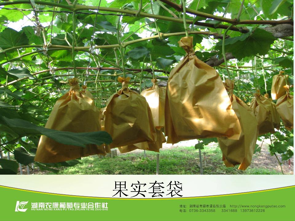 幻灯片60