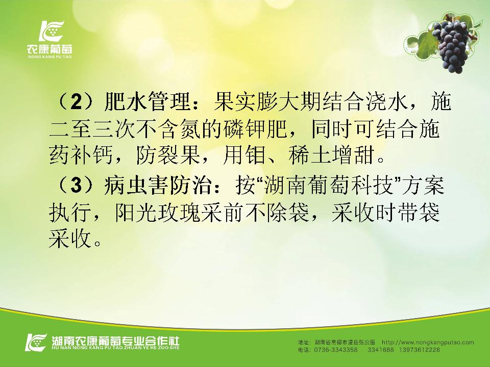幻灯片62