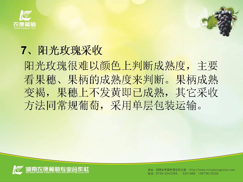 幻灯片63